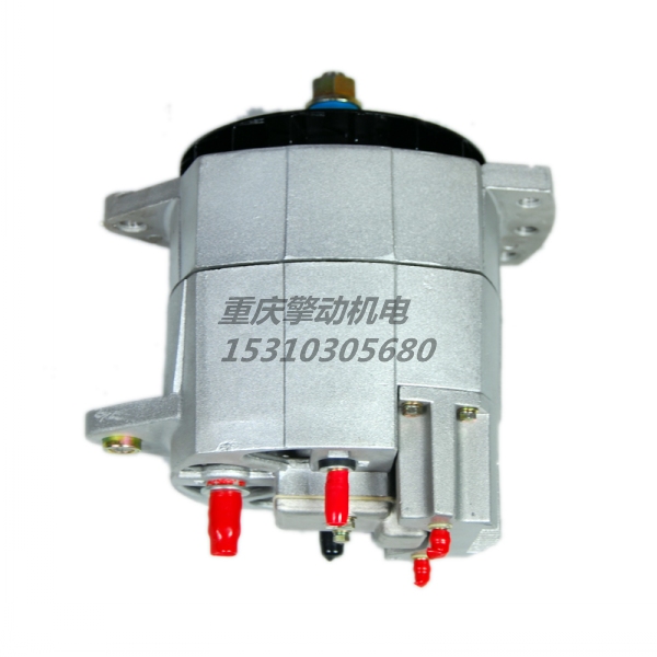 康明斯充電機(jī) 3165469